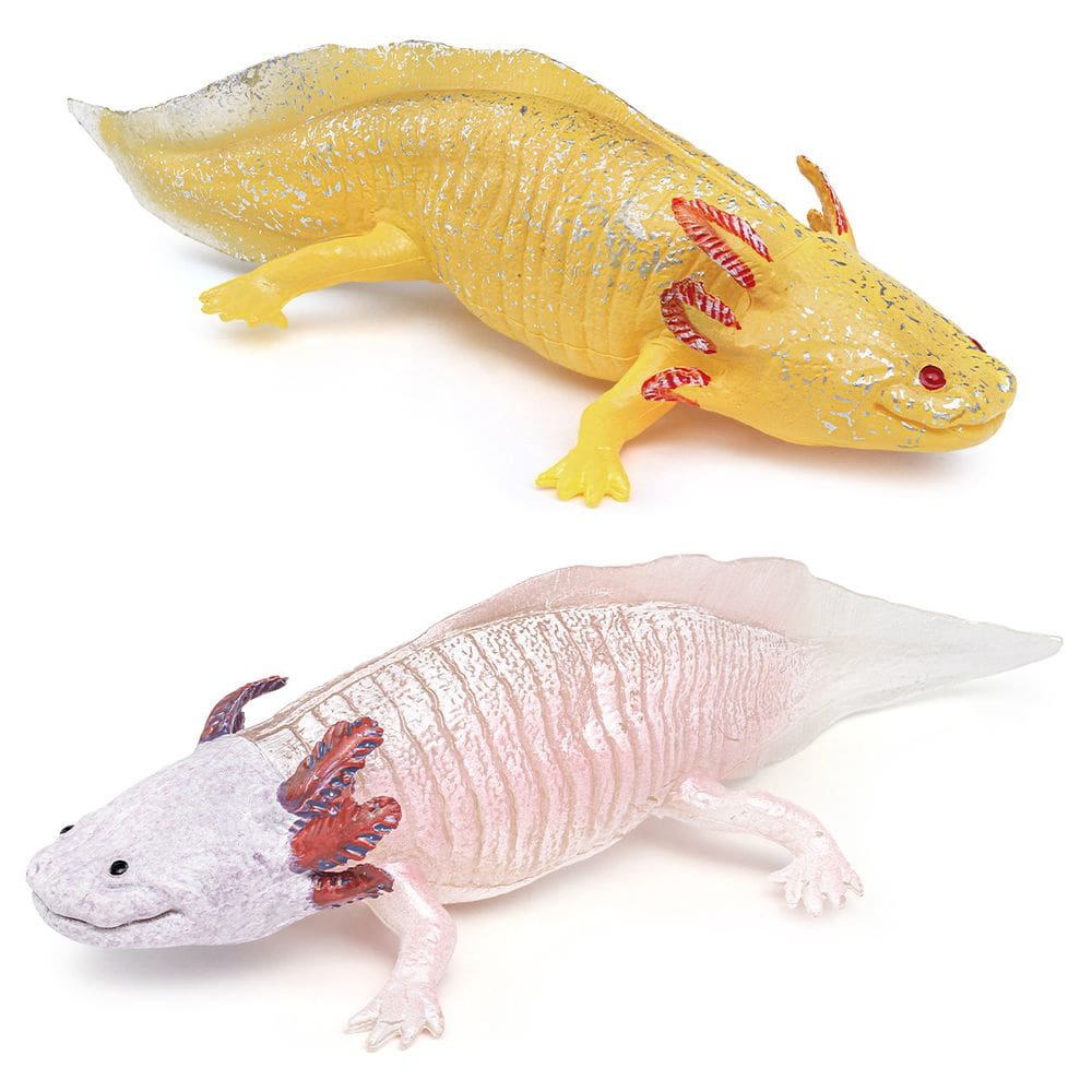 Conjunto de bonecos Realista Mexicano Axolotl Salamander PVC 4,3-17,8 cm