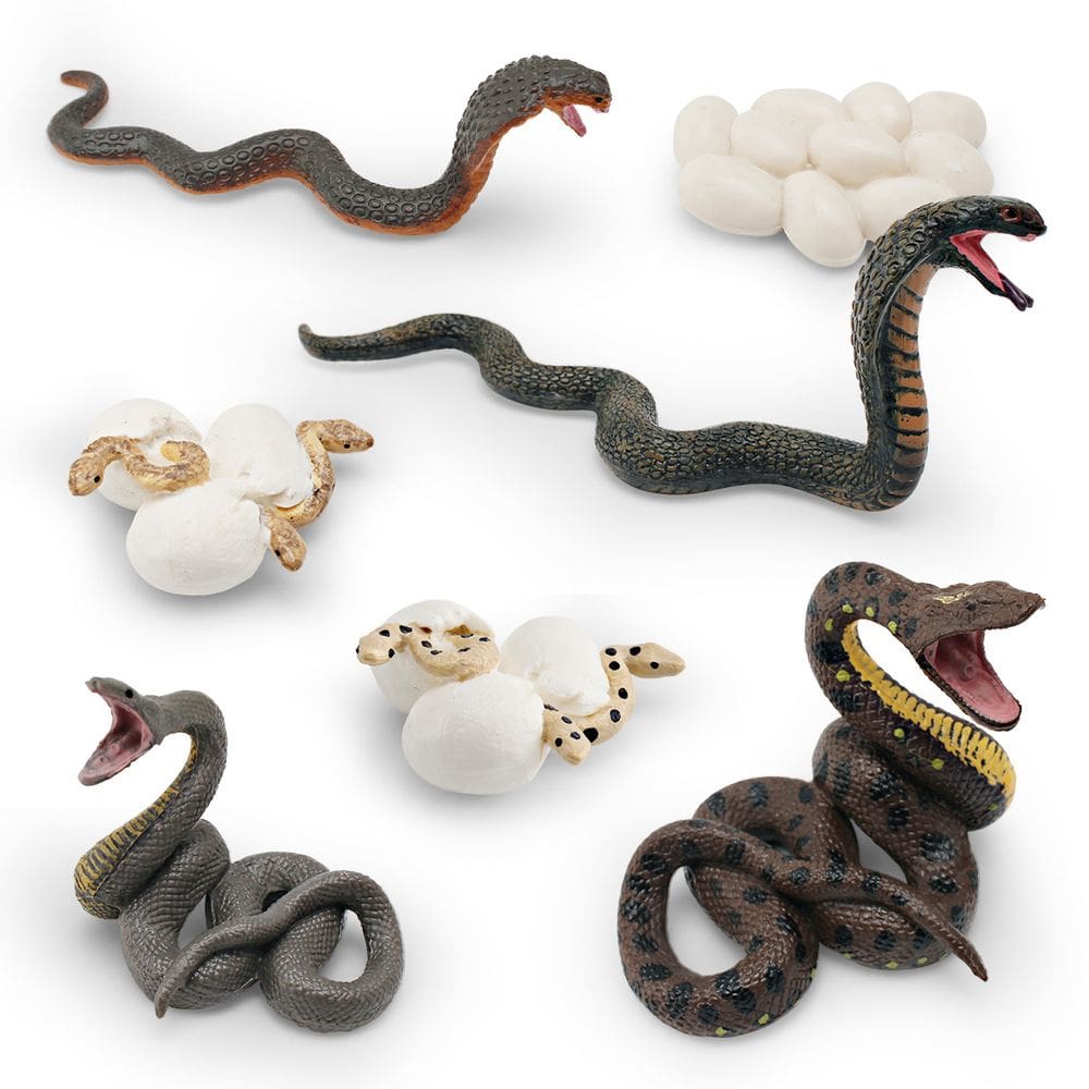 Conjunto de bonecos Snake Life Cycle, 8 peças de animais selvagens realistas