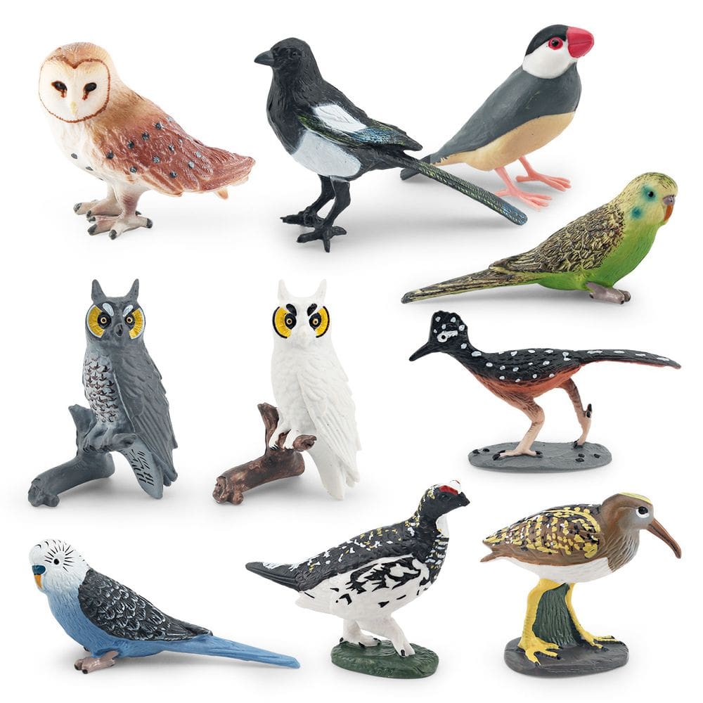 Conjunto de estatuetas Realistic Bird, 10 peças de PVC, decoração de jardim em miniatura