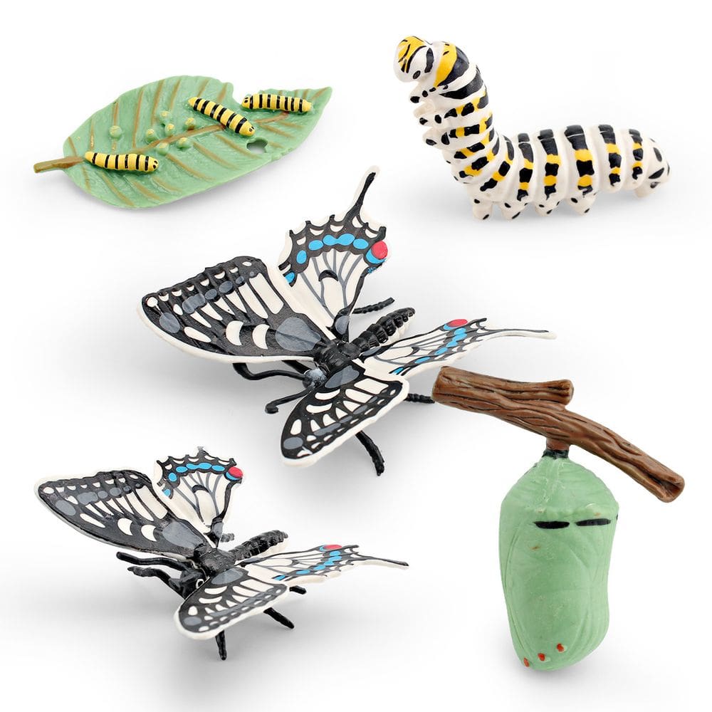 Conjunto de bonecos Butterfly Life Cycle, 8 peças de PVC para educação infantil