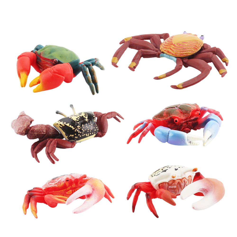Conjunto de estatuetas de caranguejo realista, 6 peças, modelo de animal oceânico de plástico