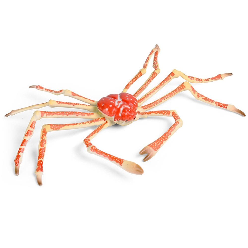 Estatueta realista de caranguejo-aranha de plástico Ocean Animal Kids 3+