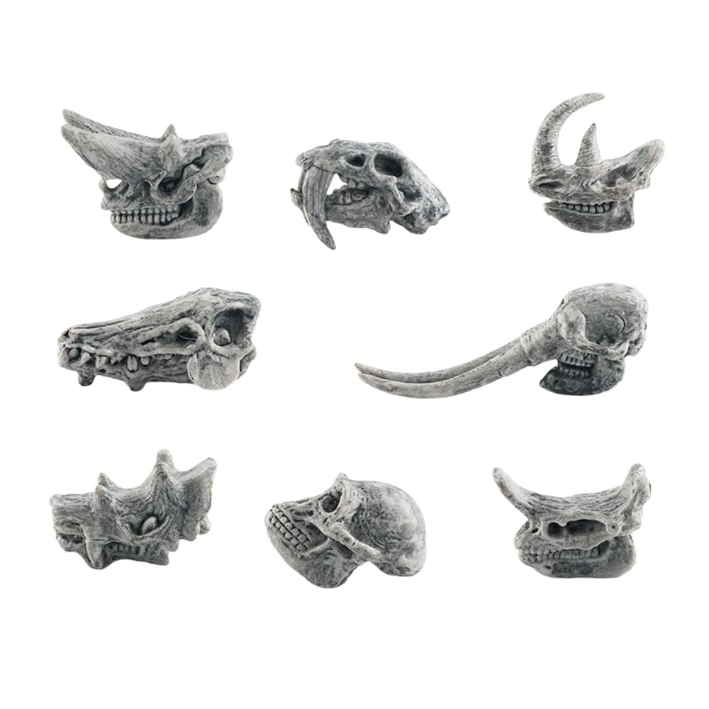 Conjunto de estatuetas com crânio de animal pré-histórico realista x8 crianças em PVC