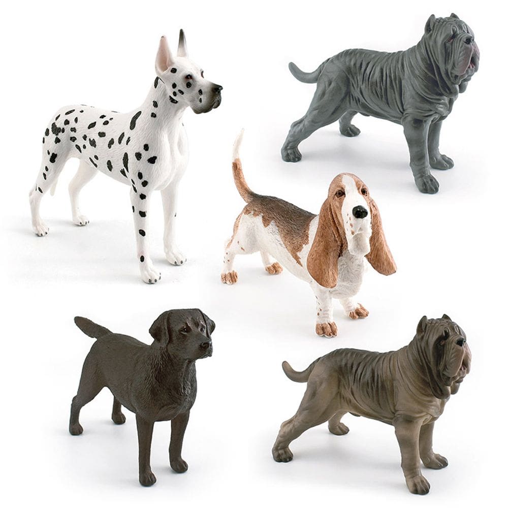 Conjunto de estatuetas realistas para cães, 5 peças, modelos de PVC para crianças+3 anos