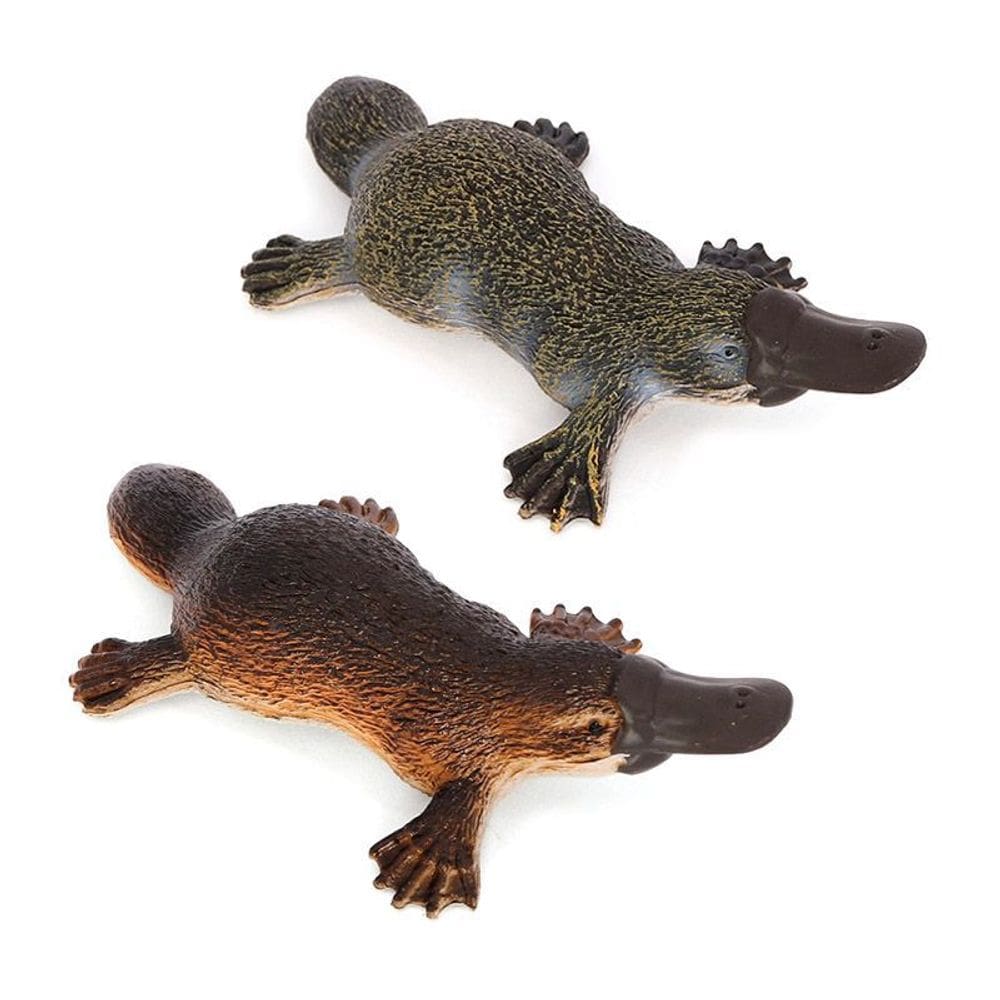 Conjunto de estatuetas Realistic Platypus PVC Wildlife Model Kids Toy