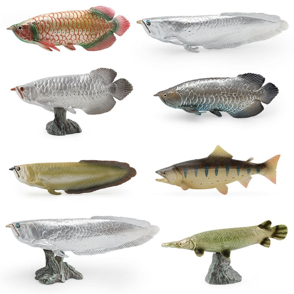 Conjunto de estatuetas realistas de peixes aruanã, modelos de PVC de 8 peças para crianças