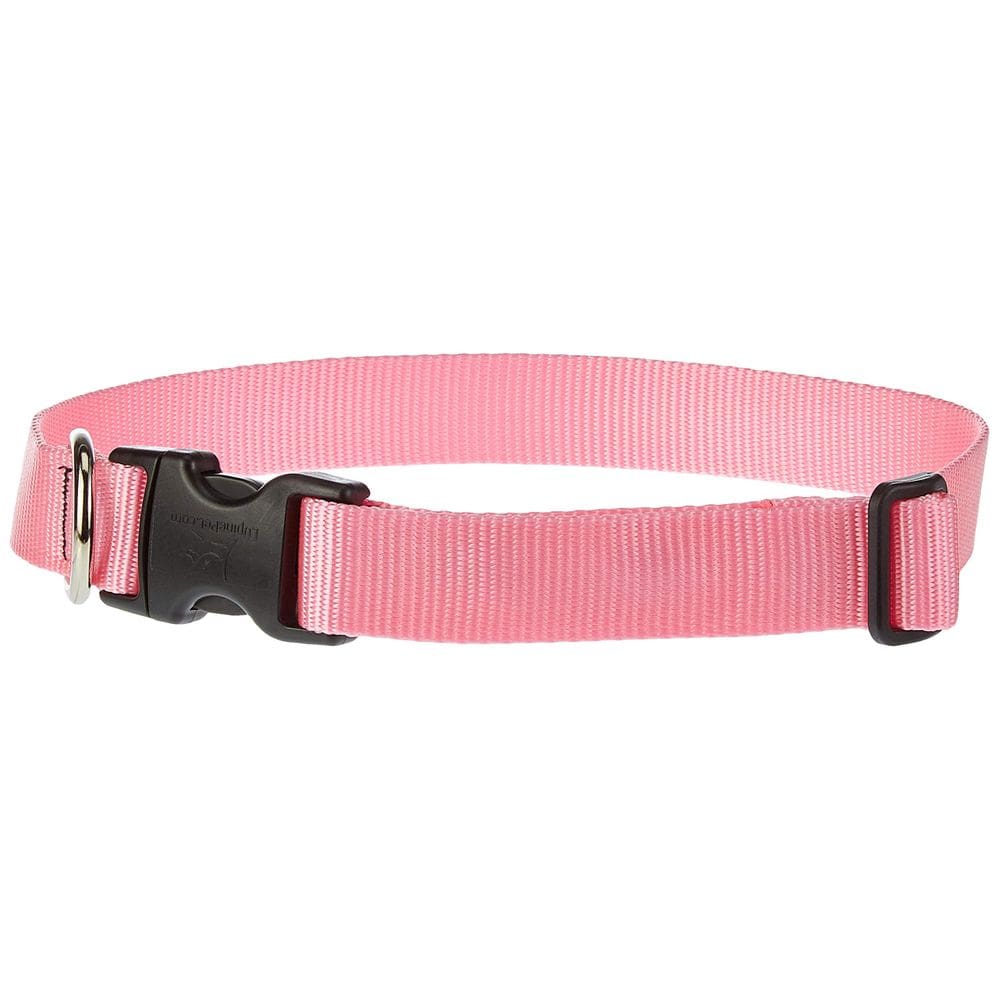 Coleira ajustável para cães Lupine Pet Basics Pink 16-28 polegadas