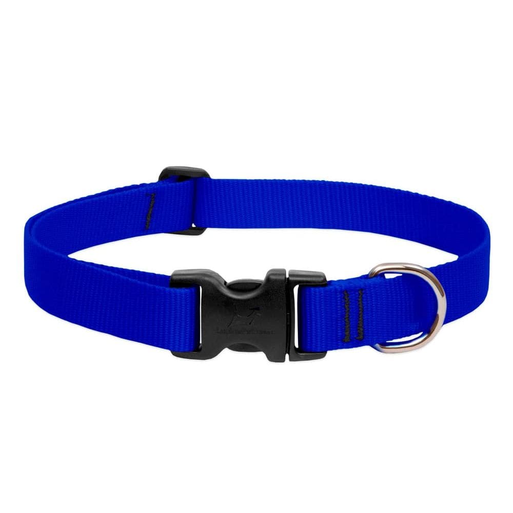 Coleira para cães LupinePet Basics ajustável 3-5 cm azul