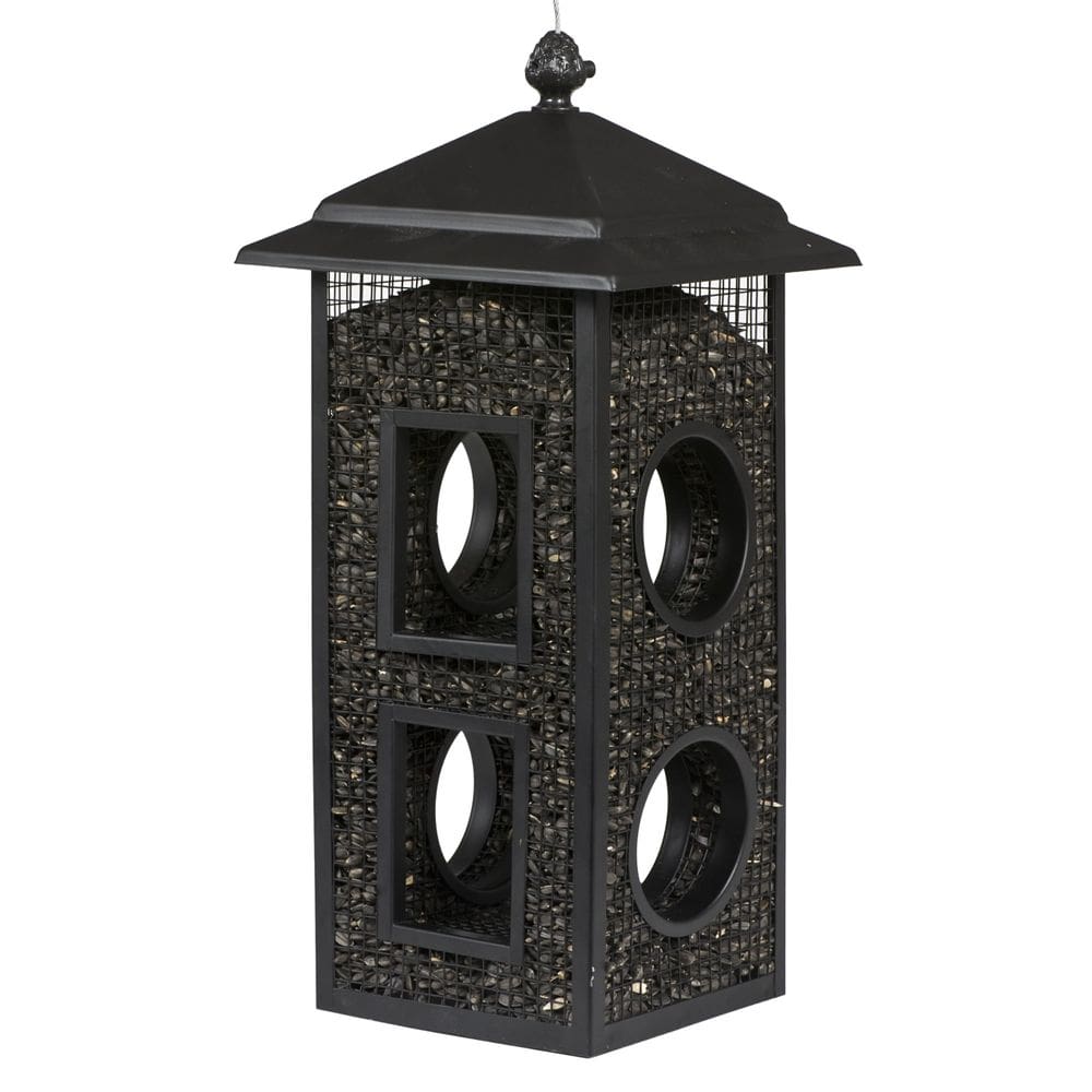 Alimentador de pássaros selvagens Perky-Pet Fly-Thru, capacidade de 2 libras, pacote com 2