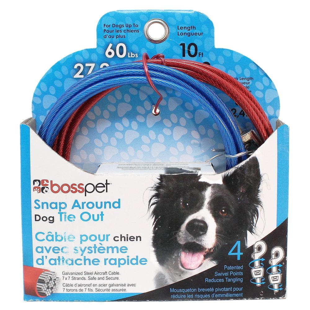 Leash Boss Pet Q2515, 3 m de largura, para cães com cadarço