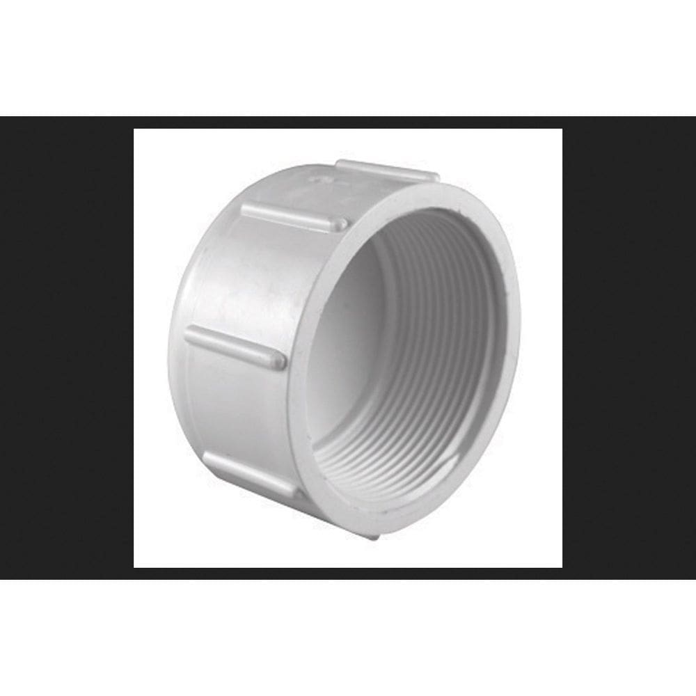 Tampa de PVC Charlotte Pipe 3/4” Schedule 40 FPT