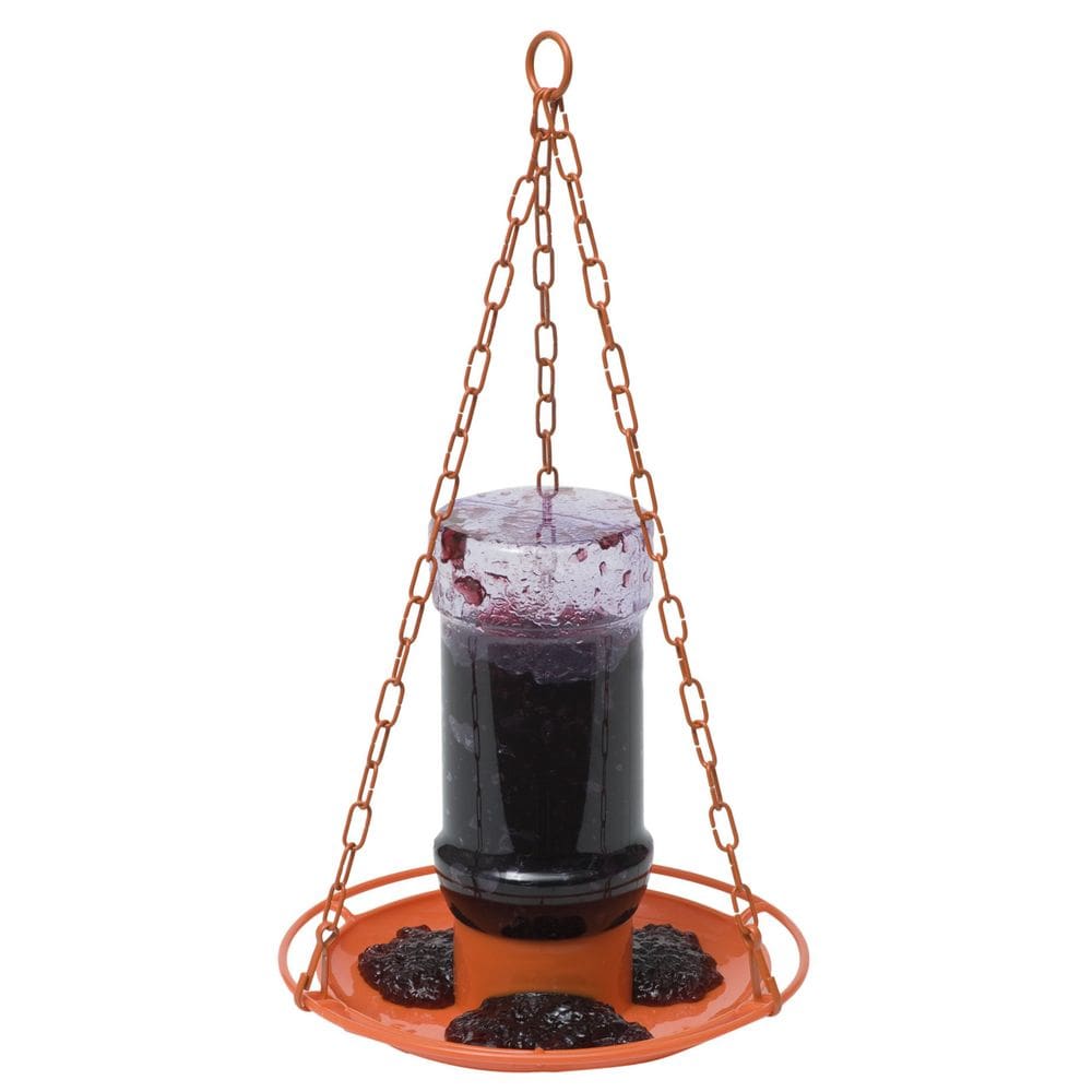 Alimentador de pássaros Perky-Pet 253 Wild Oriole Jelly, capacidade de 960 ml