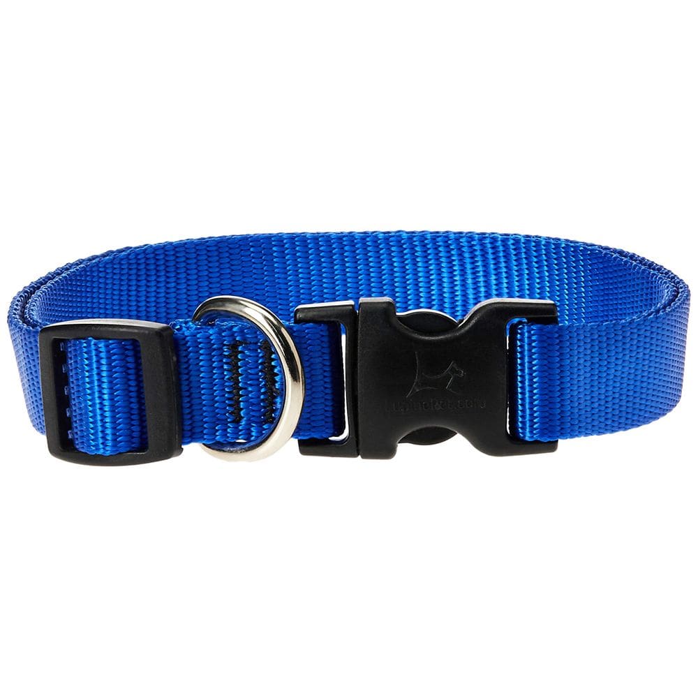 Coleira para cães LupinePet Basics azul ajustável 23-36 cm