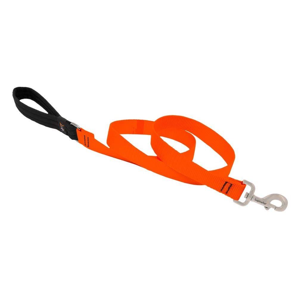 Coleira para cães LupinePet com 2,5 cm de largura, laranja brilhante, 1,8 m, alça acolchoada