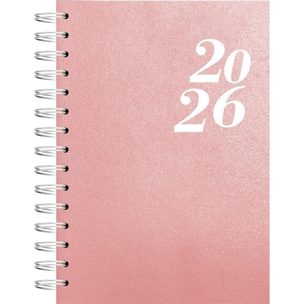 Agenda 2025 Single Cd Esp 160F.  S  140X20