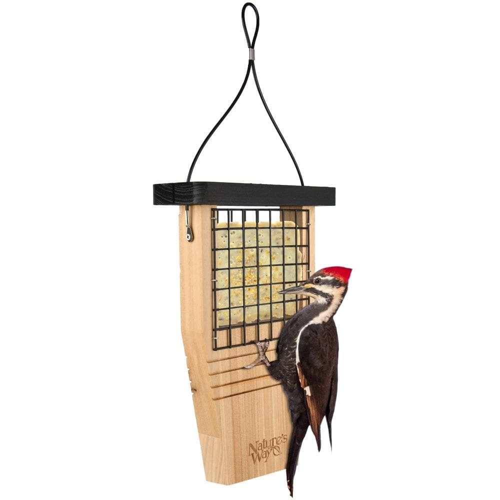 Comedouro de sebo para pássaros Nature`s Way Tail-Prop 30x20x8 cm