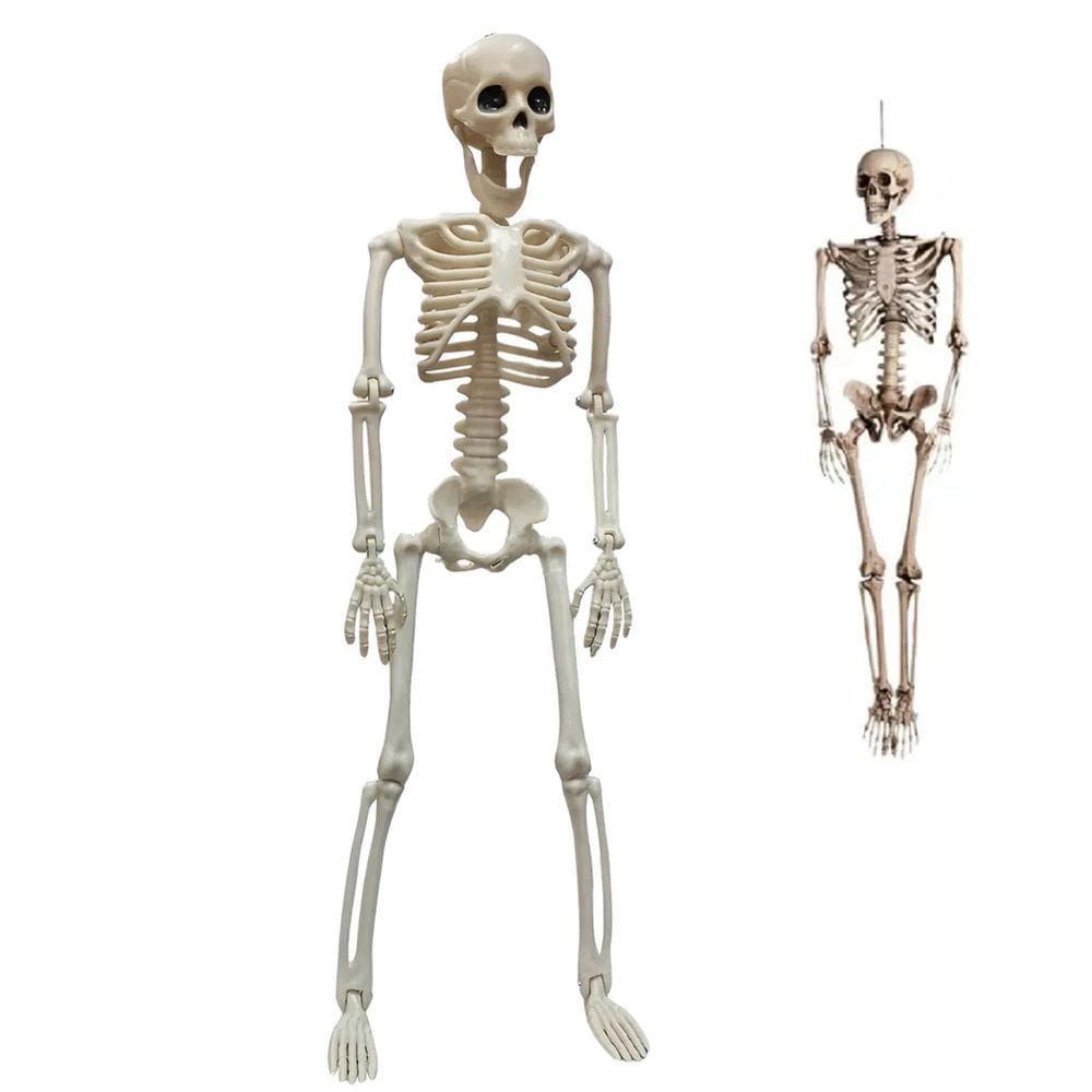 Esqueleto Caveira Halloween Dia das Bruxas Festa Tematica Ossos Corpo Humano Pendura Porta Janela Enfeite Decoraçao