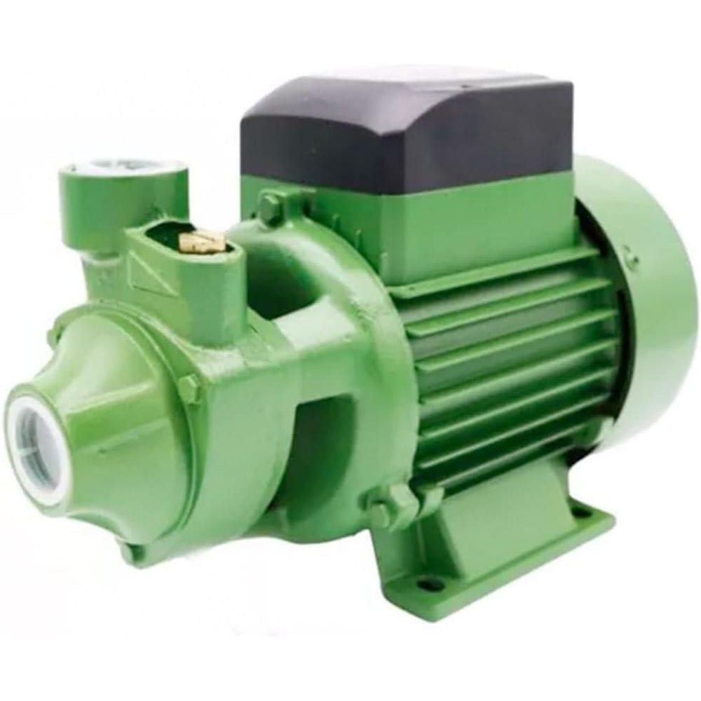 Bomba Periférica Schneider Pg-10 1 Cv 220V Mono 60Hz Ip44