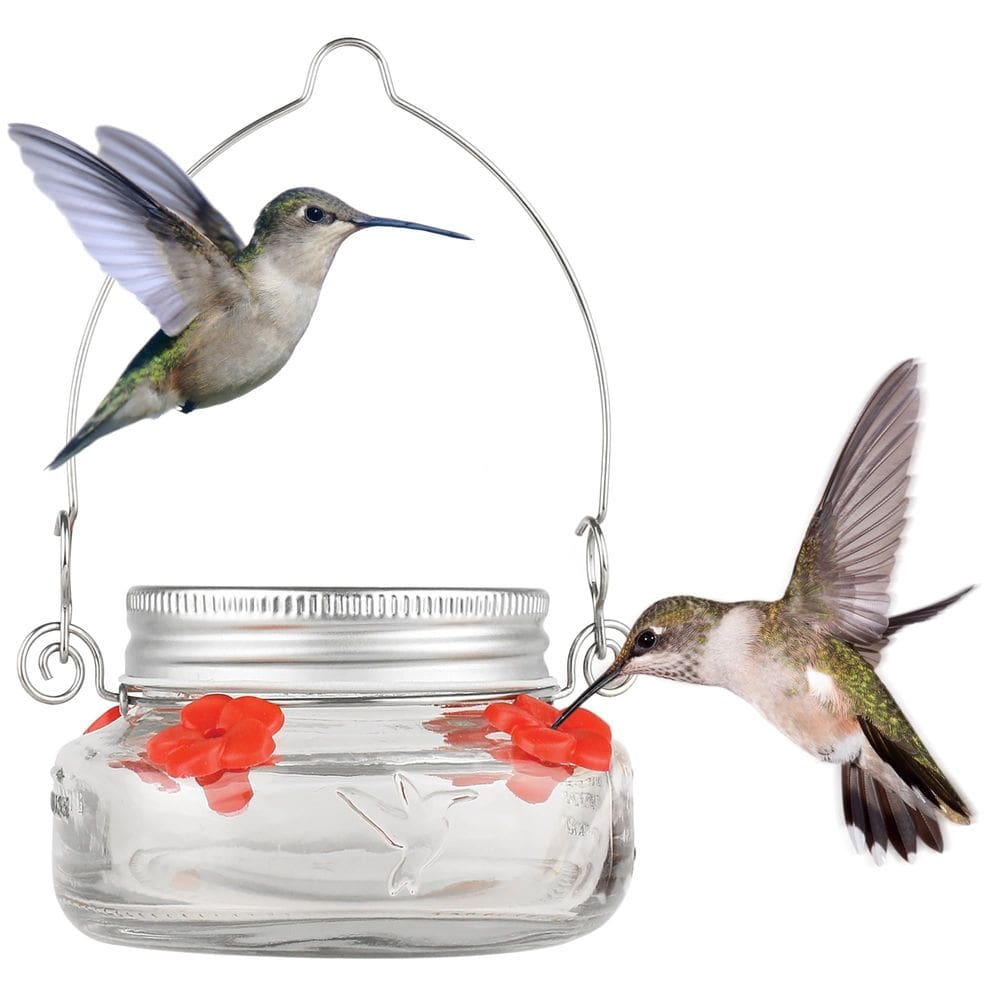 Alimentador de Pájaros Nature`s Way MJF1 Frasco Mason Transparente