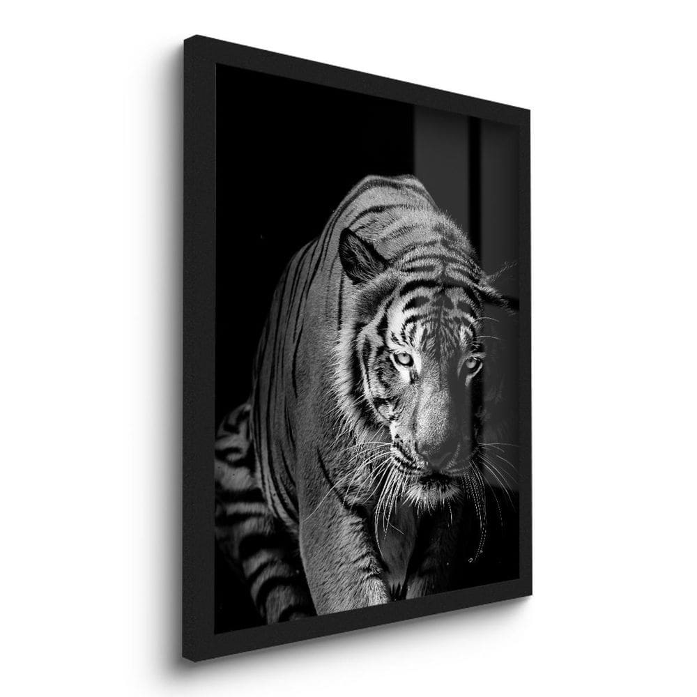 Quadro Decorativo Tigre Preto E Branco 45X33 C/Vidro