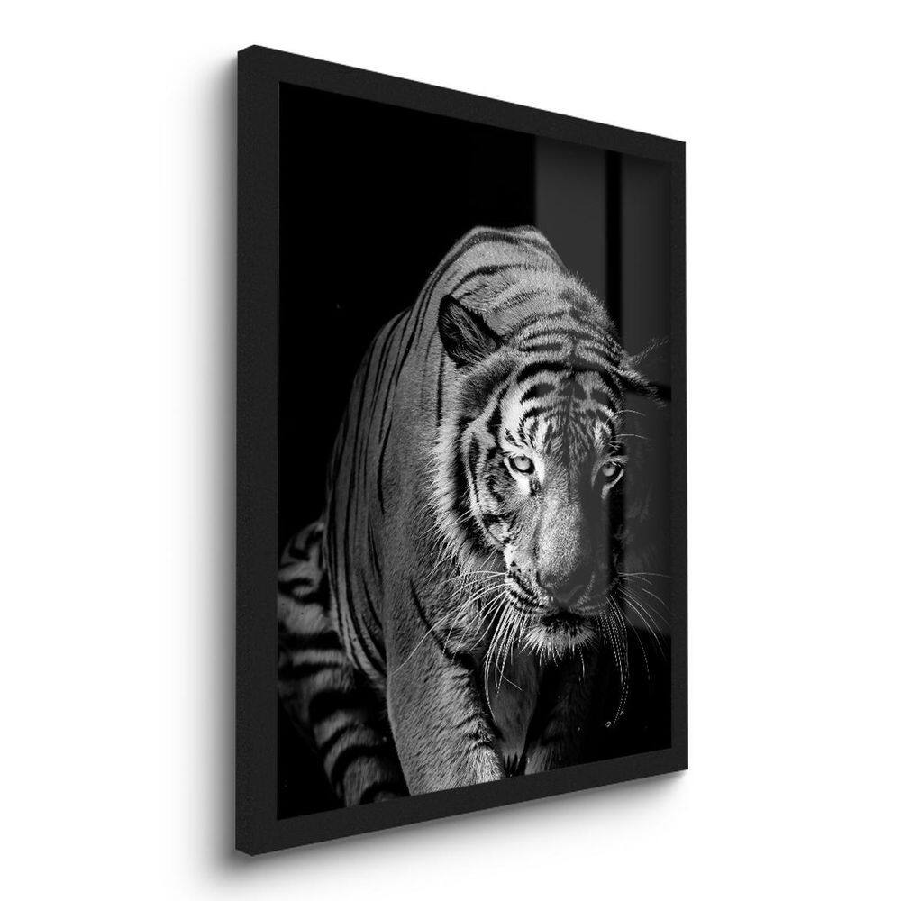 Quadro Decorativo Tigre Preto E Branco 45X33 C/Vidro