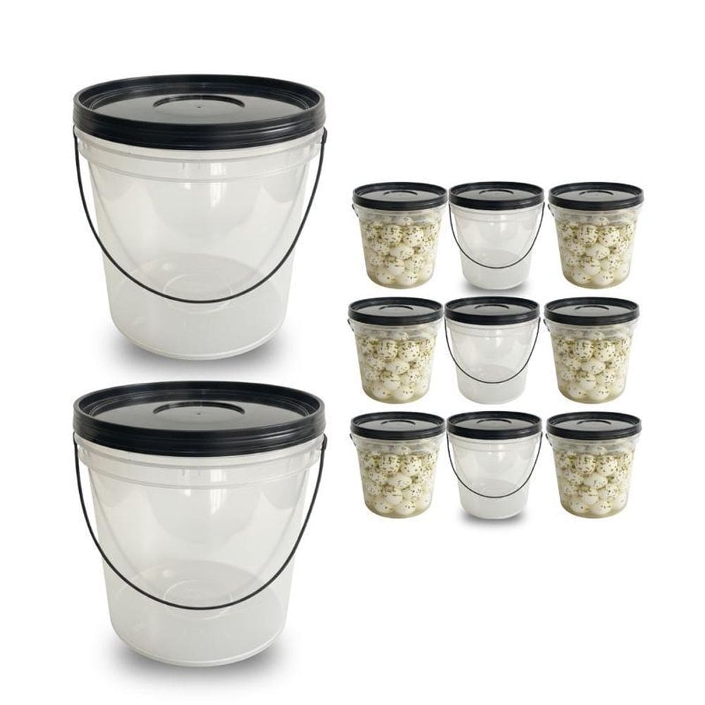 Balde Transparente 3.2L Para Lembrancinha De Festa - 9 Pçs