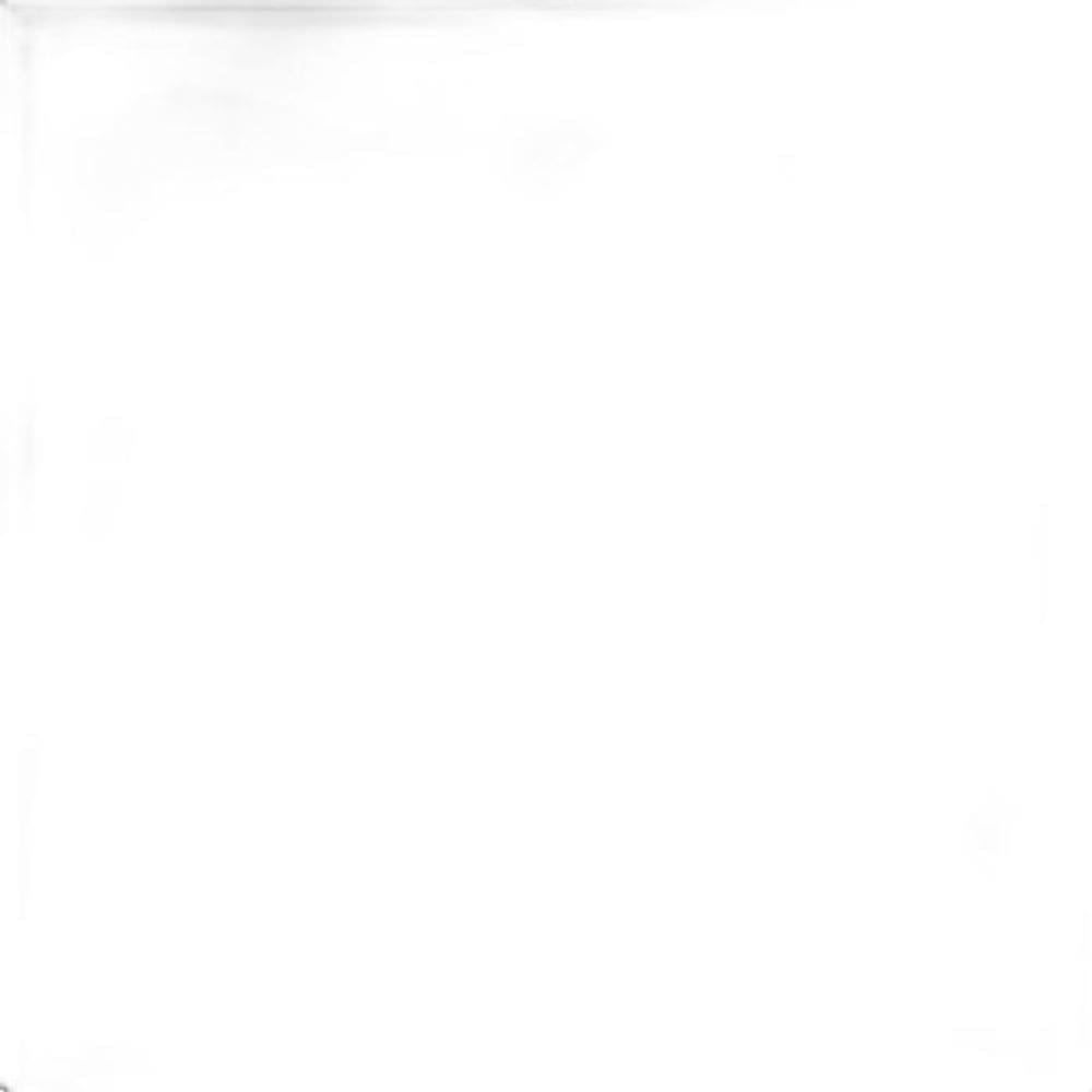 Capacho Para Sala Fibra Coco 60X120 Liso