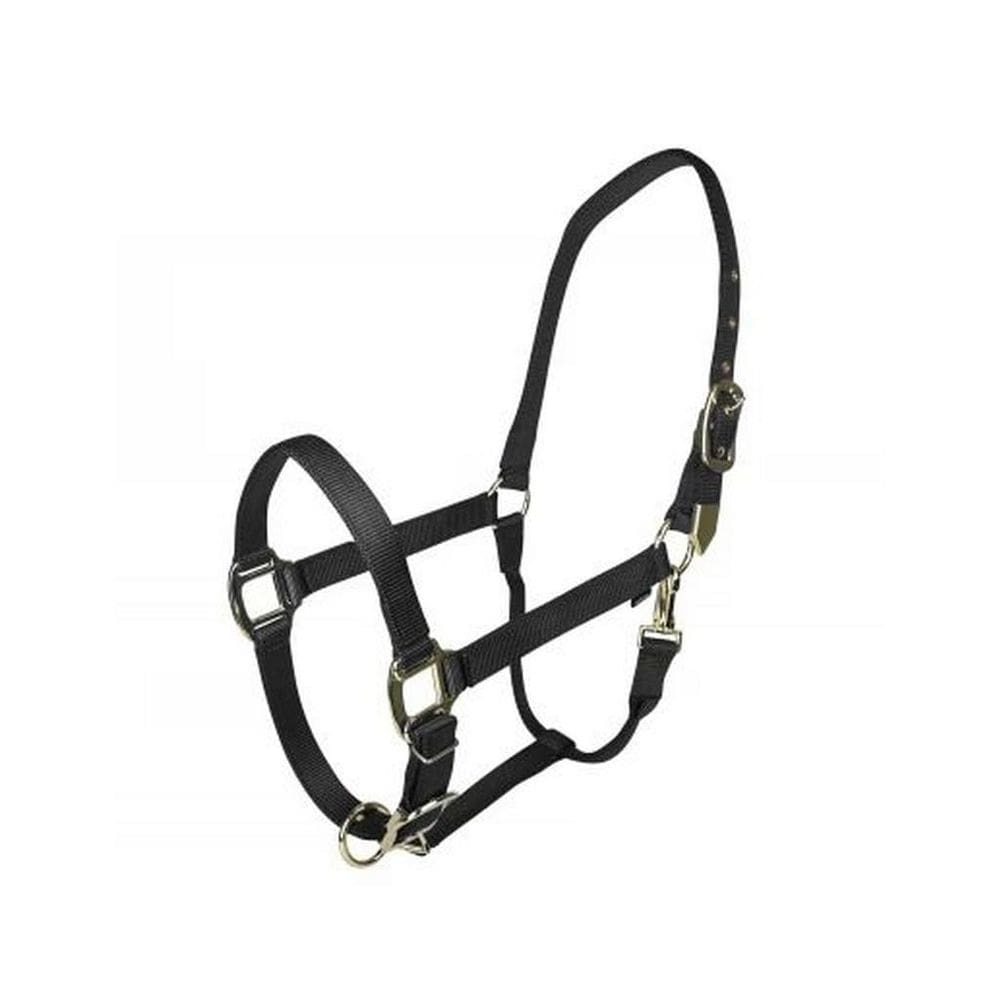 Halter Gatsby Gold Ajustable de Nylon Negro para Pony