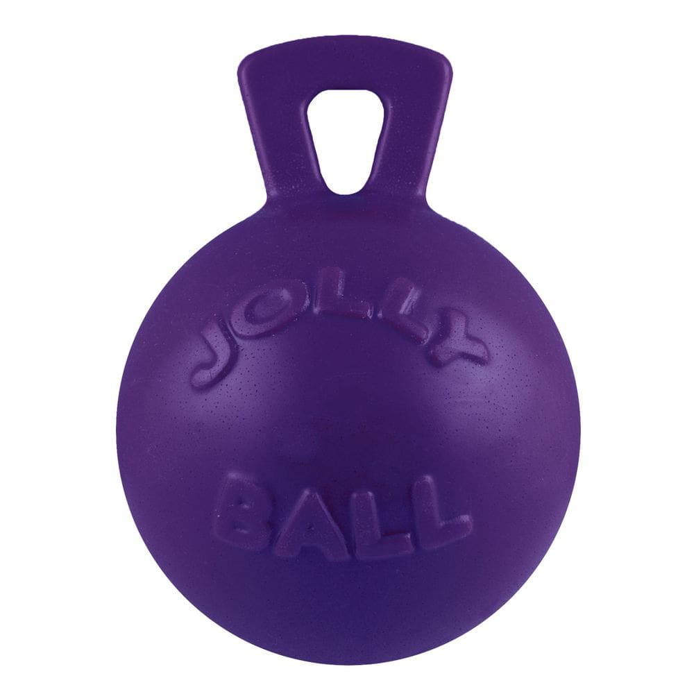Bola de brinquedo para cães Jolly Pets Tug-n-Toss, alça de 25 cm, XL, roxa