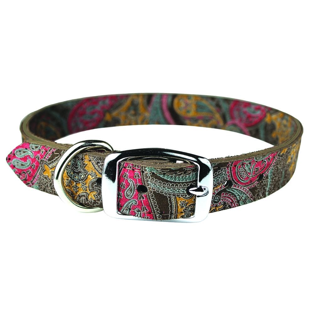 Coleira de couro para cães OmniPet 6247-CH16 Paisley 41cm