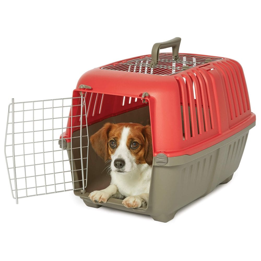 Porta-animais de estimação MidWest Spree Easy Assembly para cães pequenos e gatos
