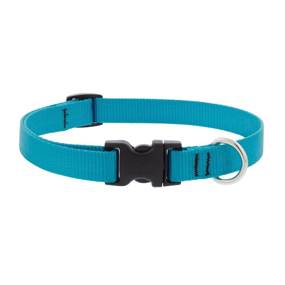 Coleira para cães Lupine Pet Aqua 1,9 cm de largura ajustável 23-36 cm