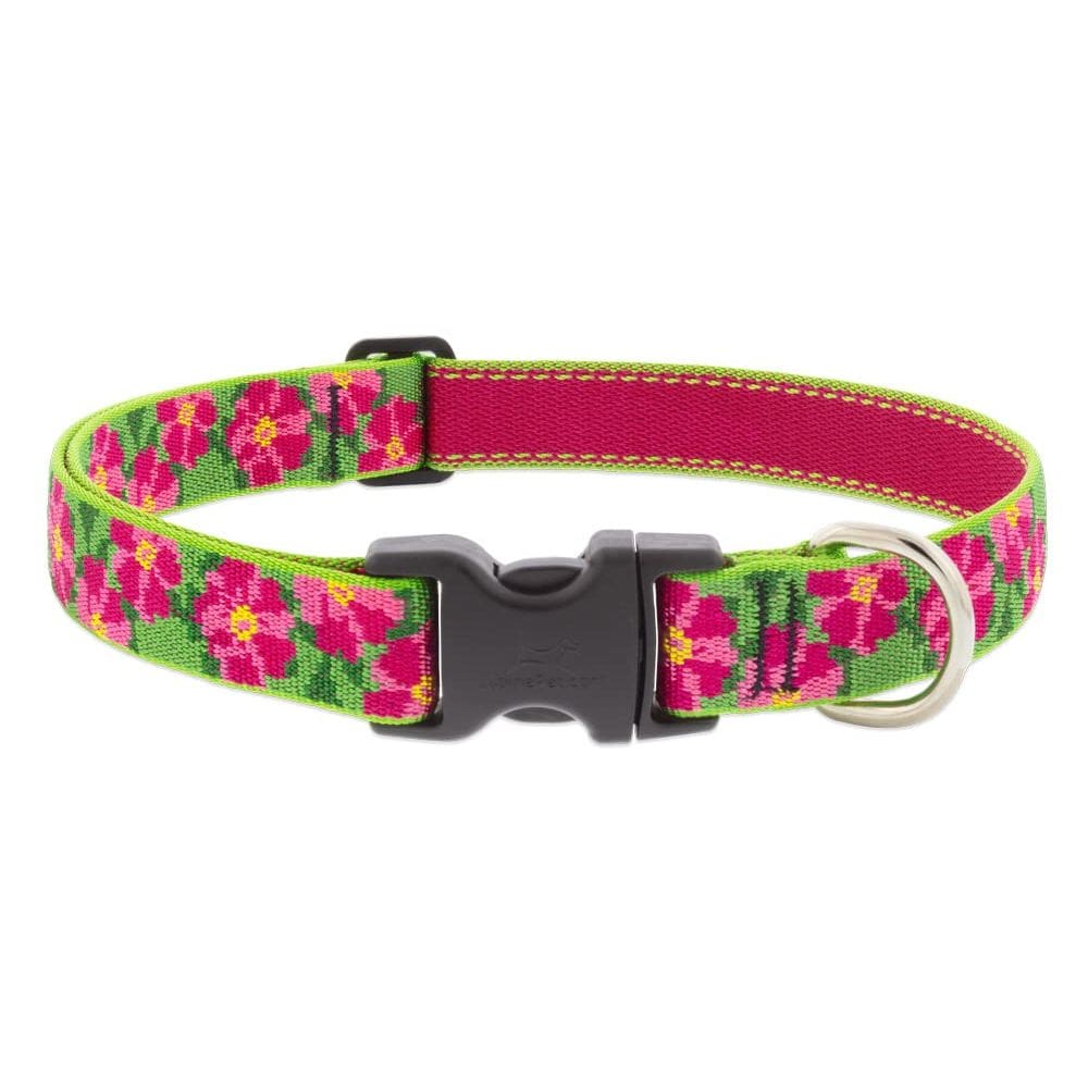Coleira para cães Lupine Pet Petunias com 2,5 cm de largura, ajustável 41-71 cm