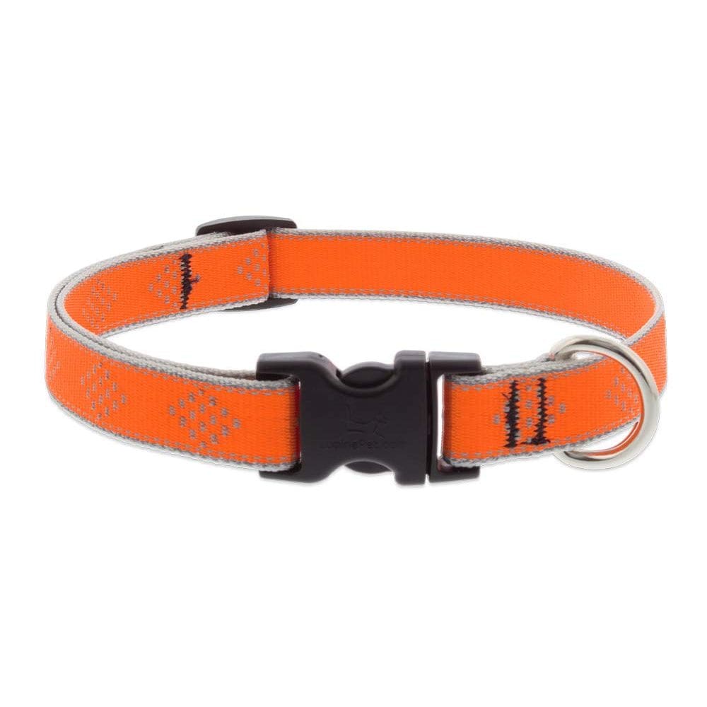 Coleira para cães Lupin Reflective High Lights Orange Small