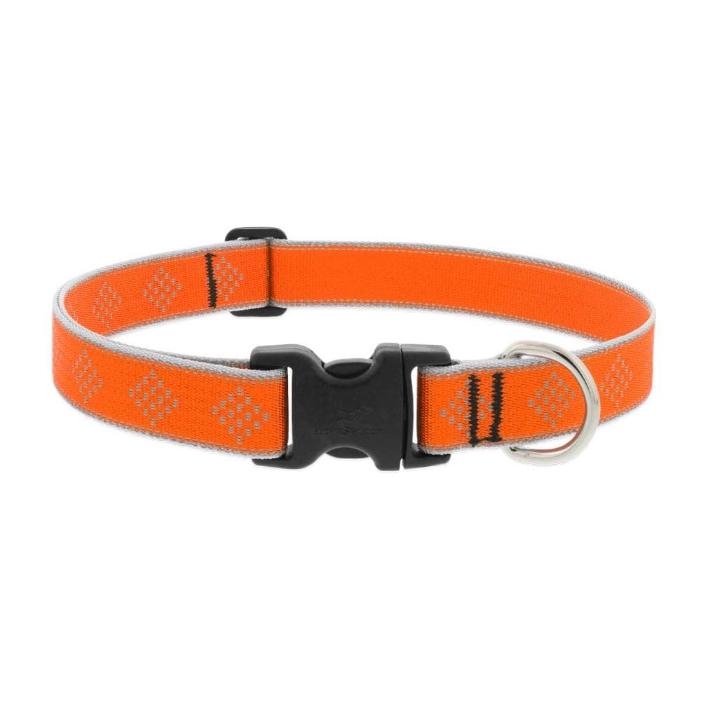 Coleira para cães Lupine Pet Reflective Orange 2,5 cm de largura 41-71 cm