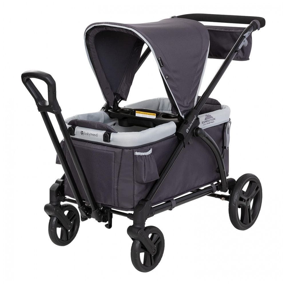 Carrinho de Passeio para 2 Crianças Multifuncional com Cobertura Removível e Dobramento, até 50 kg, Baby Trend, Preto