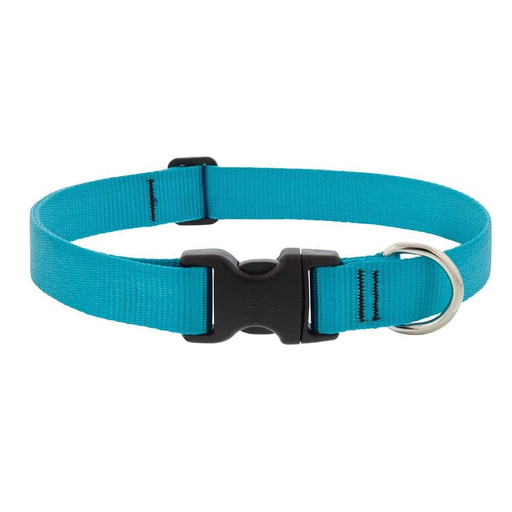 Coleira para cães Lupine Pet ajustável com 2,5 cm de largura 30-51 cm Aqua