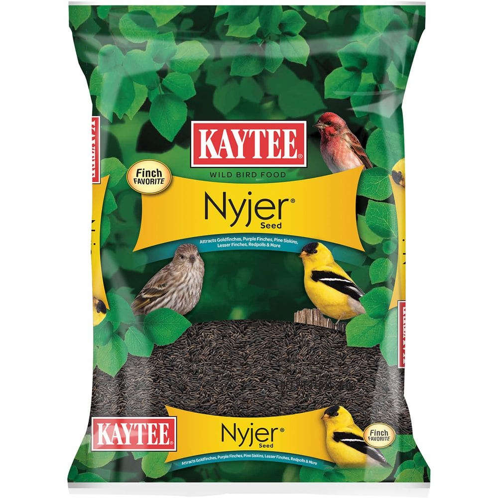 Semente de ração para pássaros selvagens Kaytee Nyjer 1,36 kg