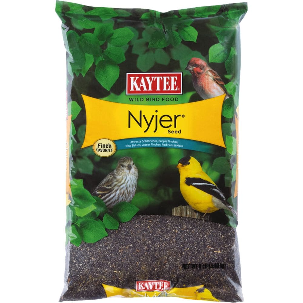 Comida para pássaros selvagens Kaytee Nyjer Seed 3,5 kg