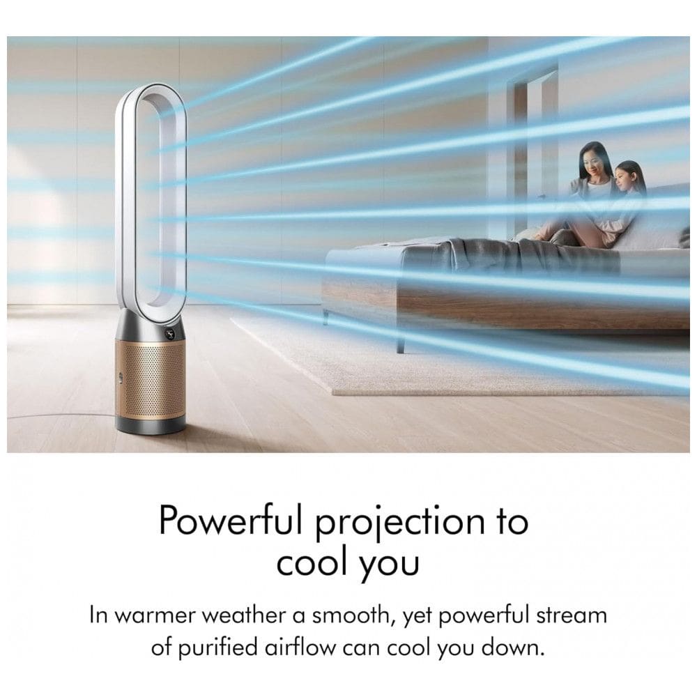 Purificador e Ventilador Dyson Purifier Cool PC2 | Casas Bahia