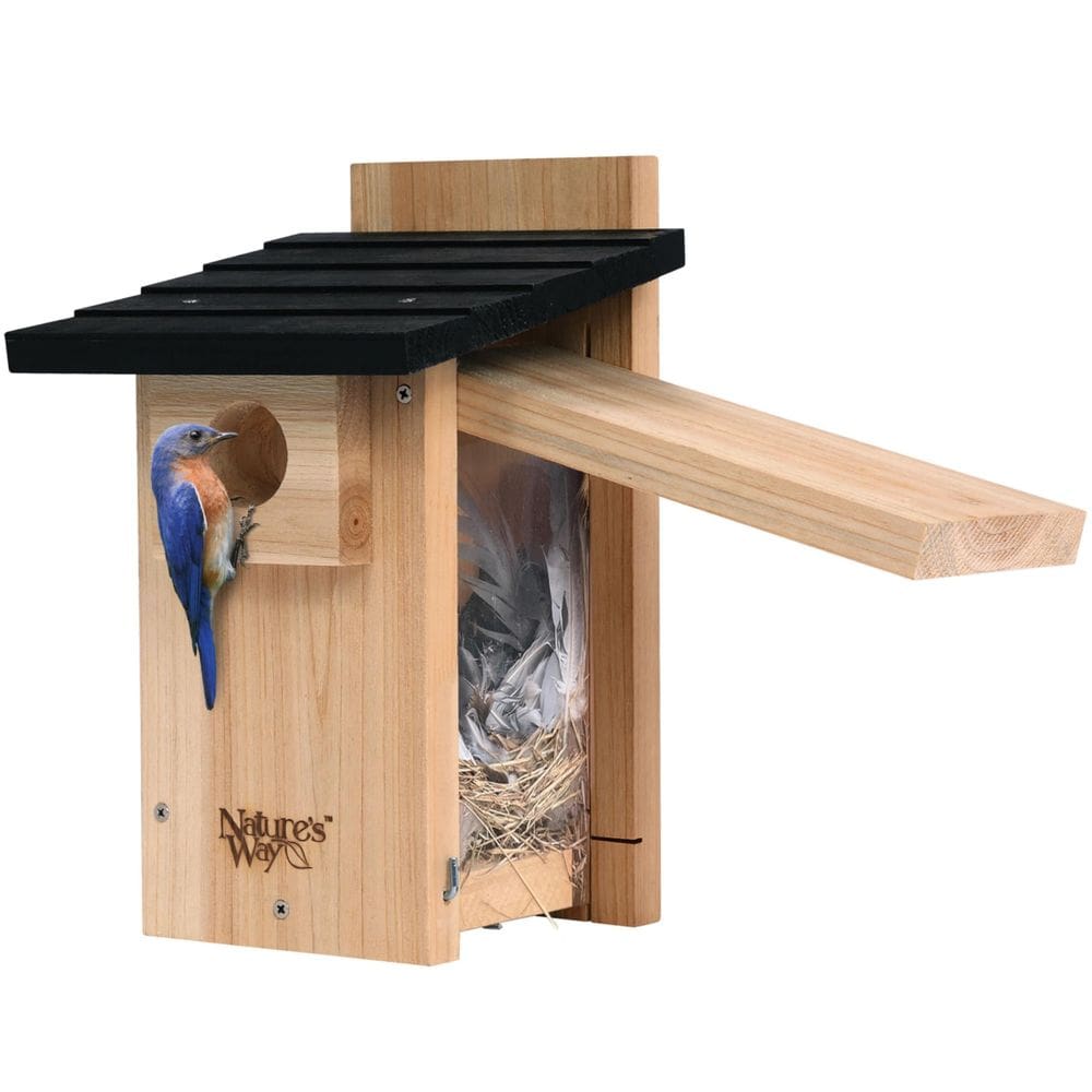Bird House NATURES WAY CWH4 Cedar Bluebird Viewing