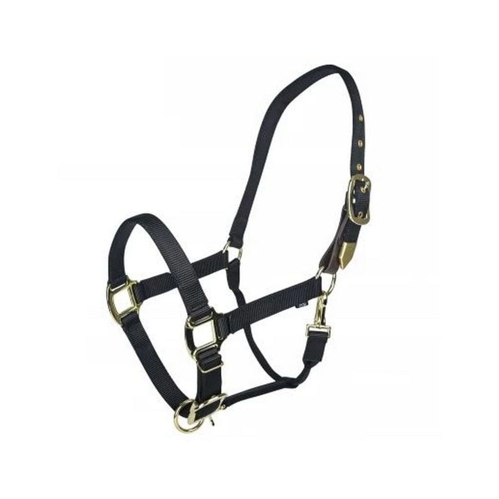 Safety Breakaway Halter Cob Black Gatsby Gold