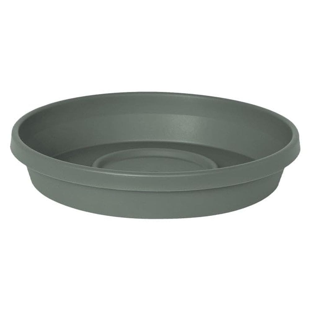 Pires Planter Bloem Terra 20 cm de manjericão com nervuras verde