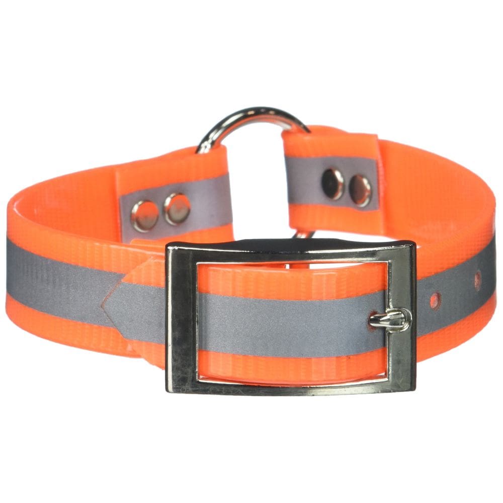 Coleira para cães OmniPet SunGlo Reflective Orange com 2,5 cm de largura