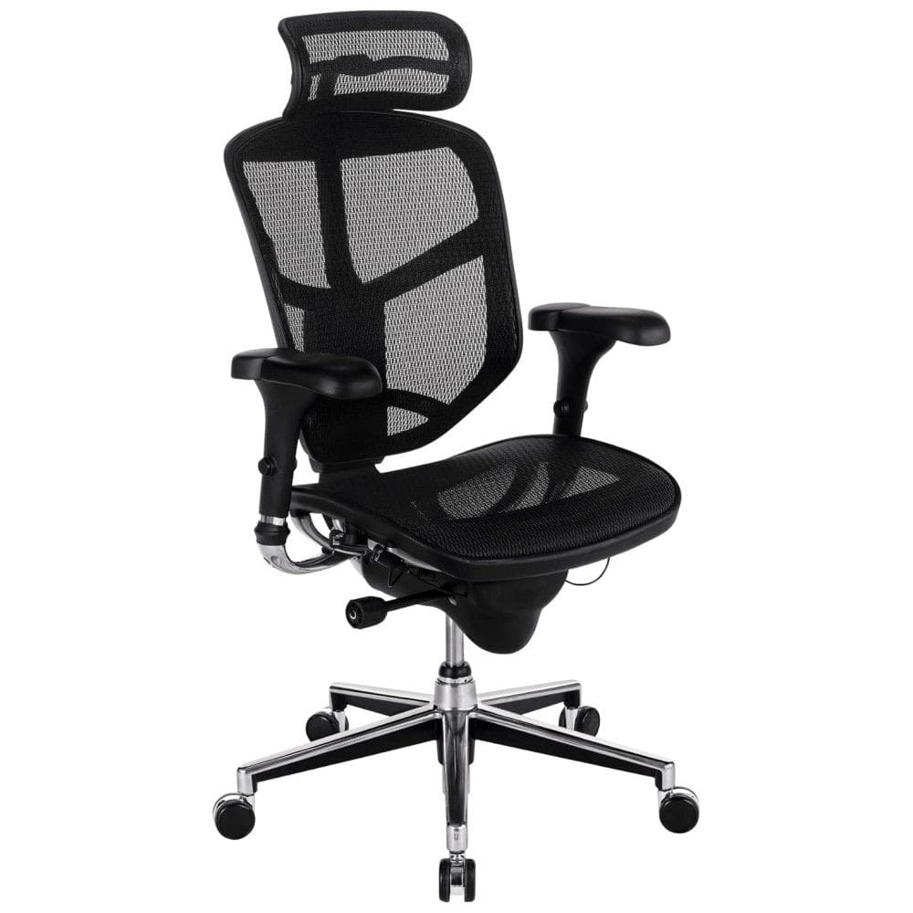 Cadeira de Escritório Ergonômica Giratória com Apoio de Braços, Suporte Lombar Ajustável e Apoio de Cabeça, WORKPRO, Preto