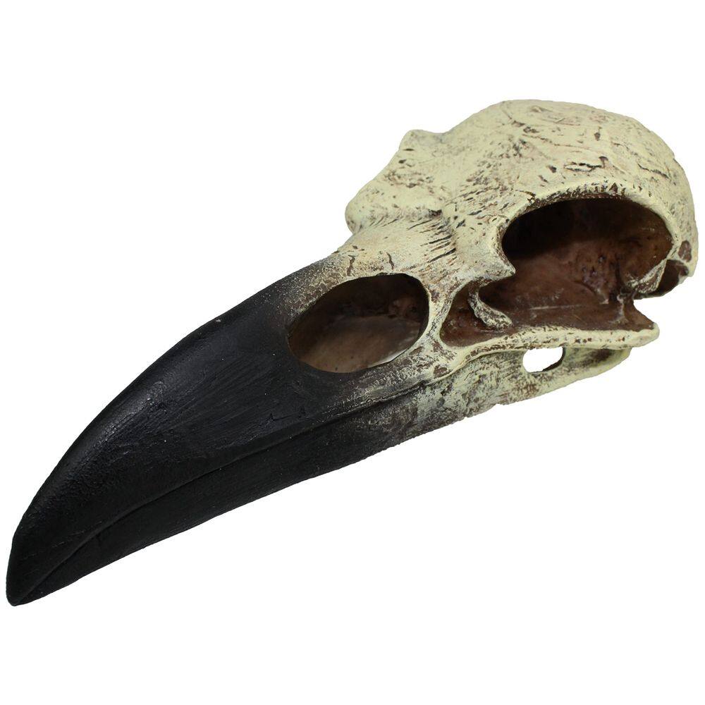 Escultura Komodo Raven Skull Terrarium Decor 20 cm de largura