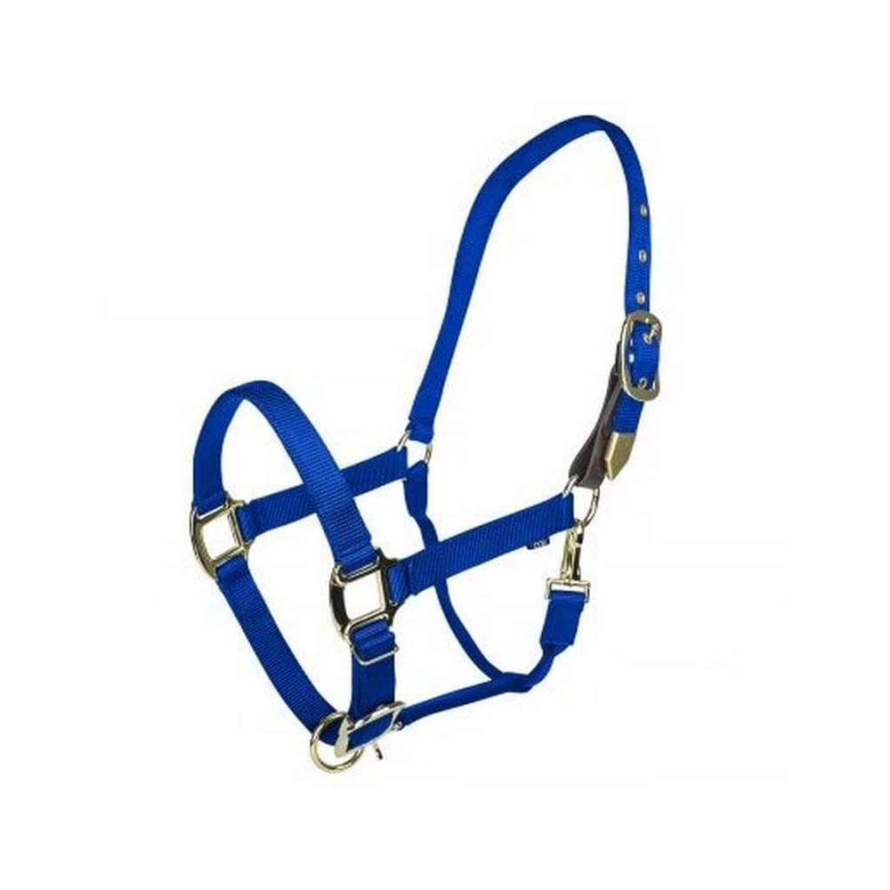Cabestro de Seguridad Desprendible Gatsby Gold para Caballos Azul