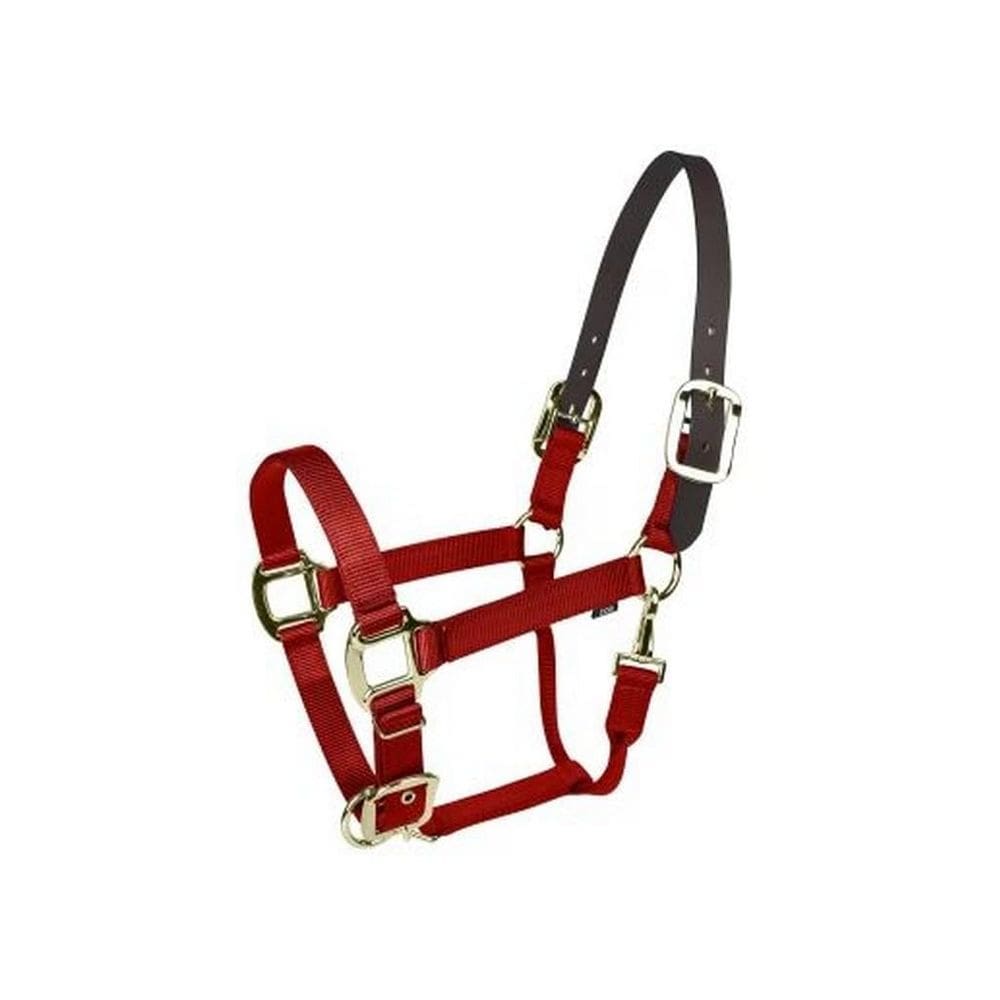 Halter Gatsby Oro Nylon Breakaway Rojo Cob