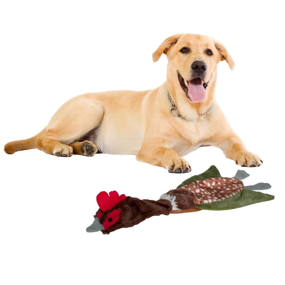 Brinquedo para cães SPOT Skinneeez Crinklers Bird 58 cm durável