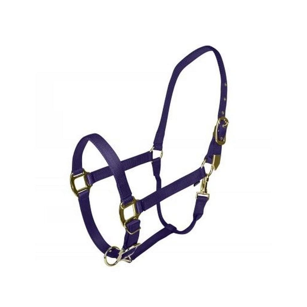 Espiga roxa de nylon ajustável Horse Halter Gatsby Gold